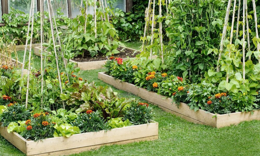 A DIY Garden Bed Planter At Home