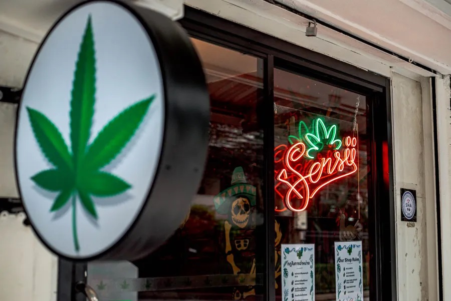 Discover The Good Vibes: A Tour Of Asoke’s Cannabis Shop